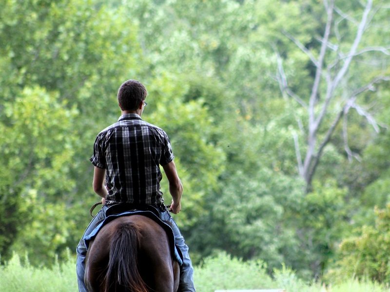 Passeggiate a cavallo fontanellato Bed and Breakfast Solis